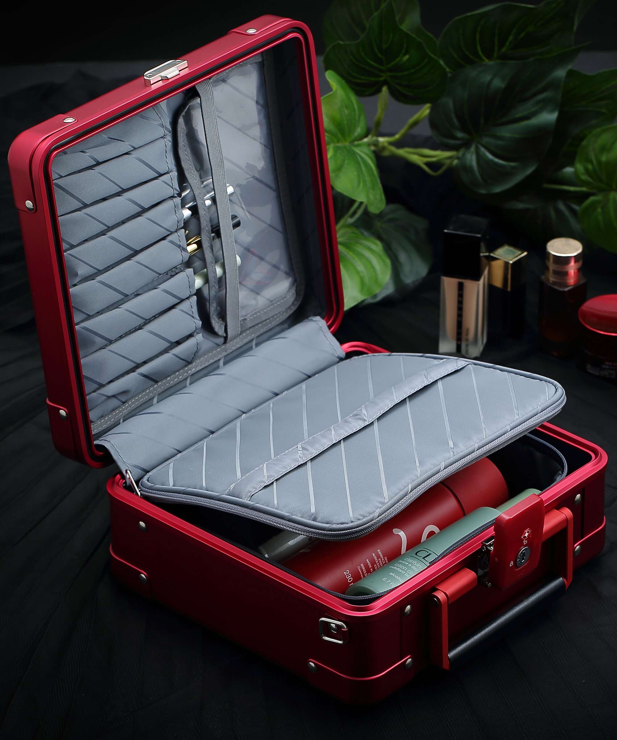 Aleon Classic 10 Diversity Beauty case platinum - Image 7