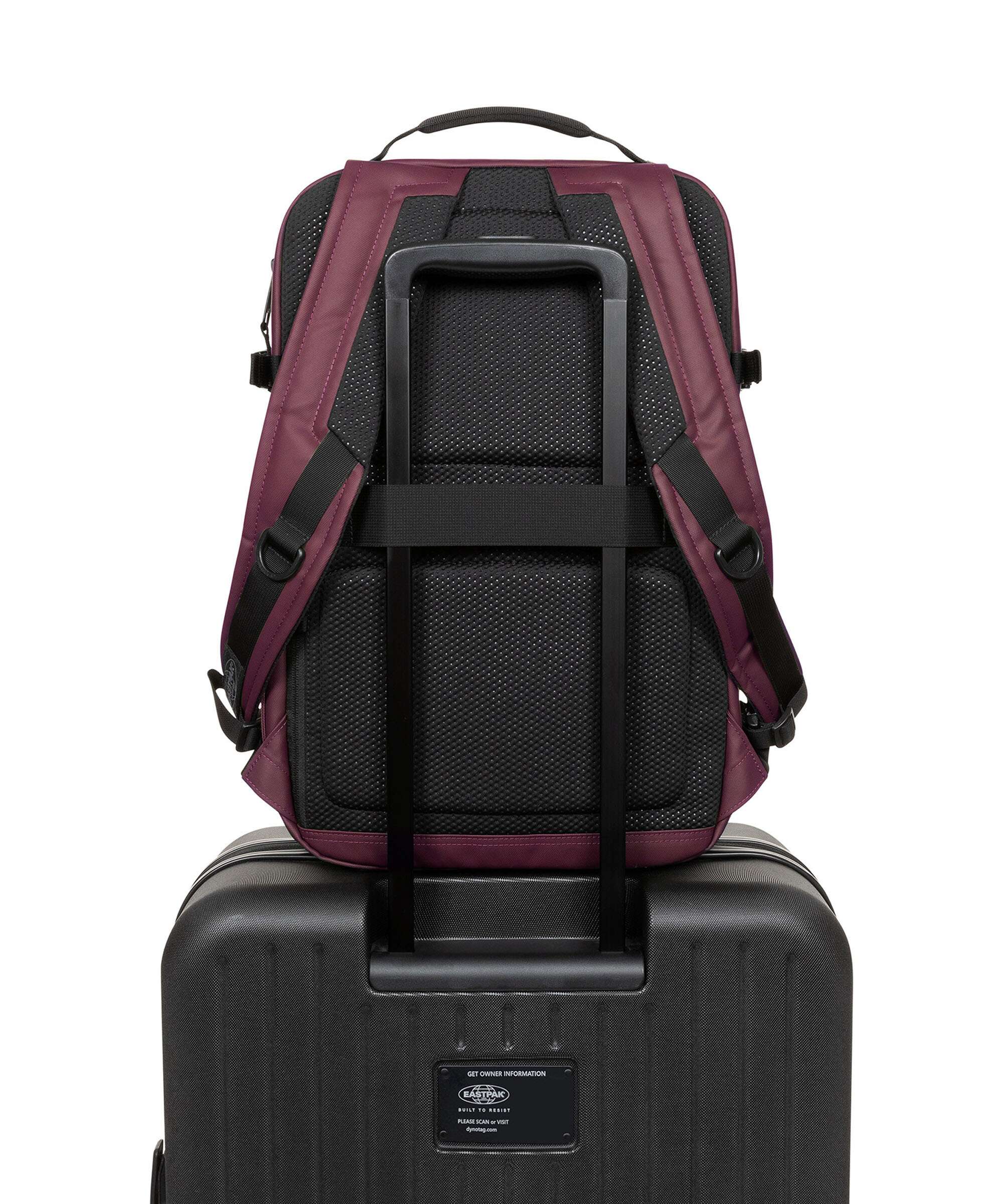 Eastpak Tecum Cnnct M Backpack fig - Image 5