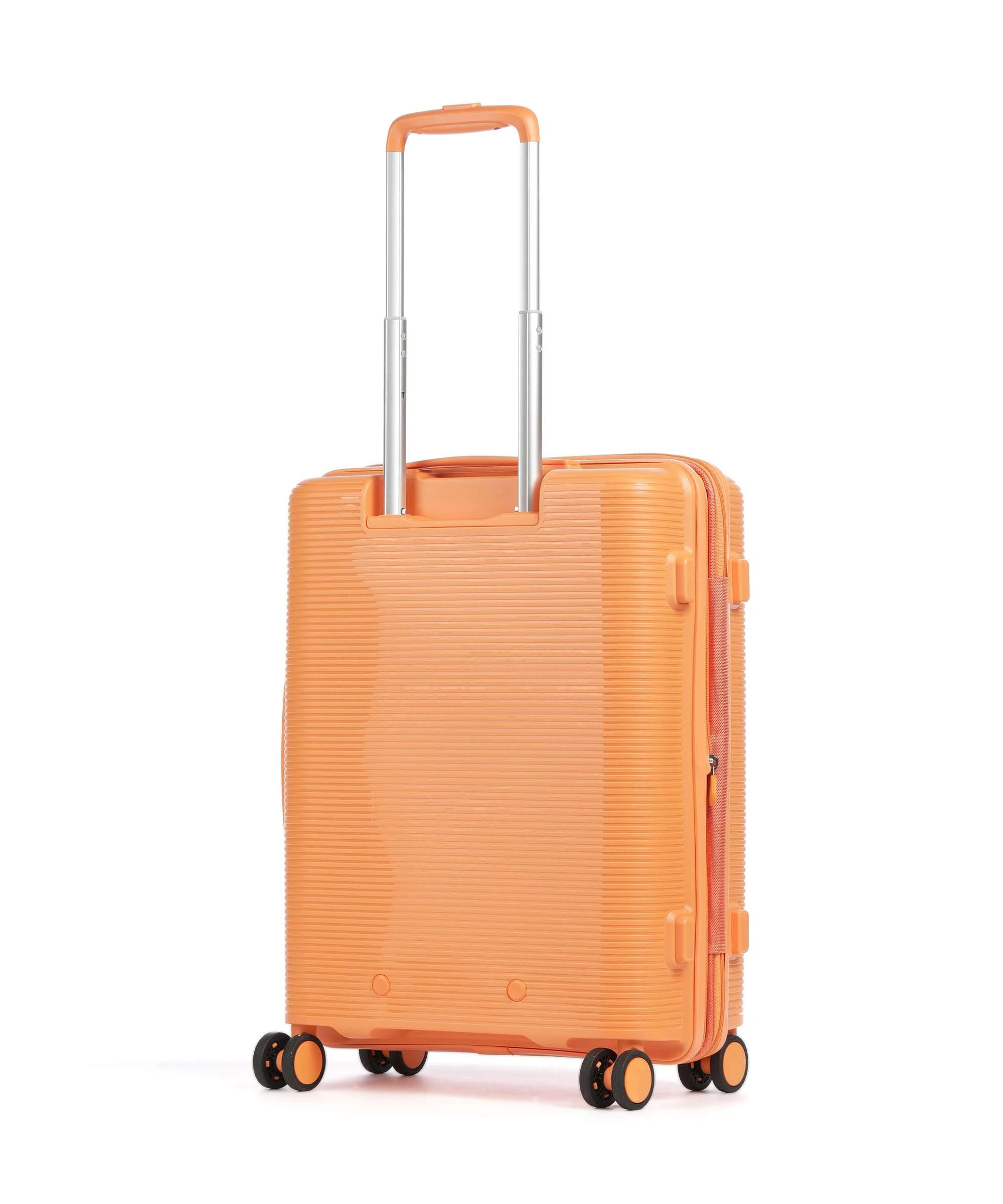 Echolac Forza S Spinner (4 wheels) apricot crush - Image 2