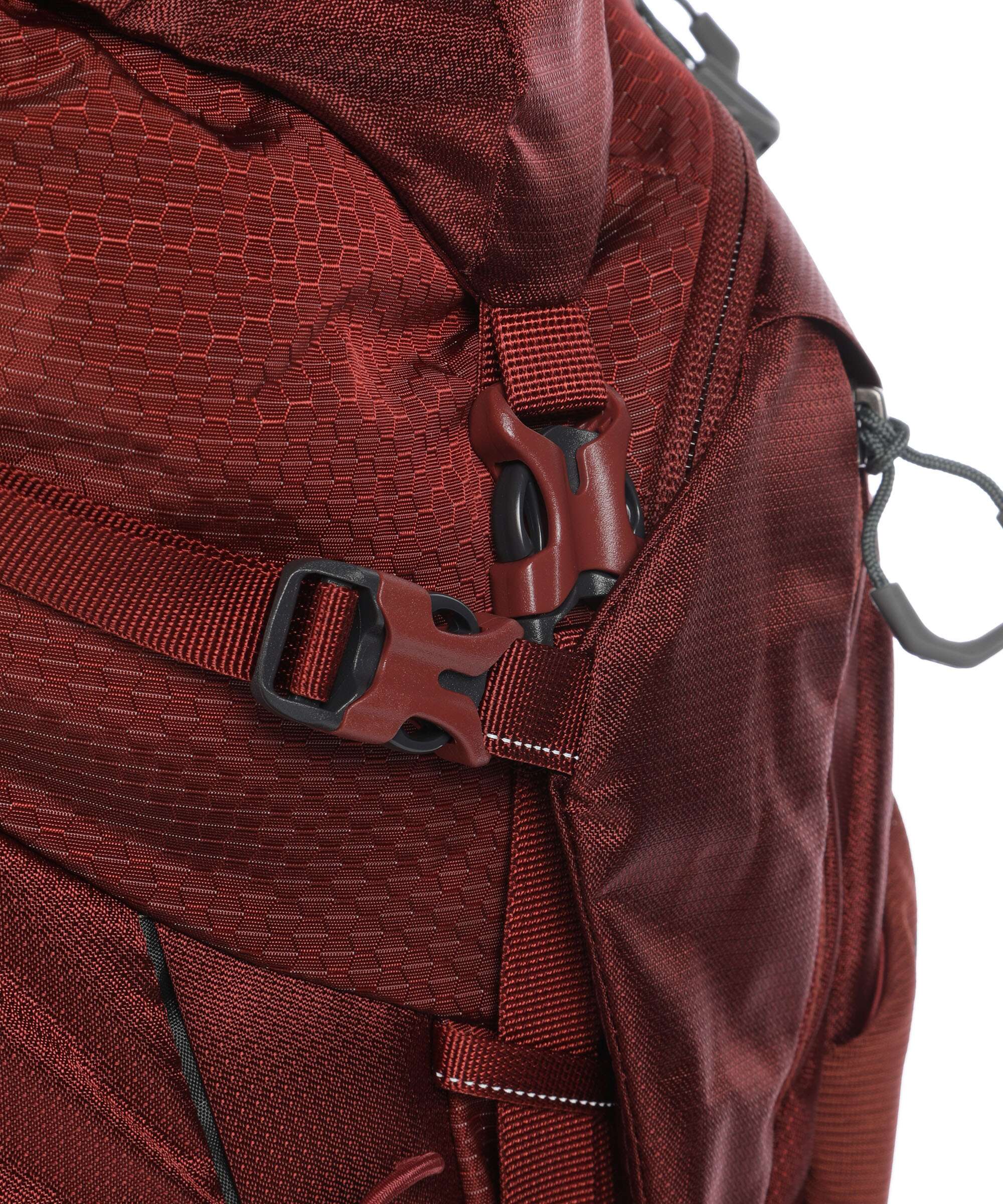 Gregory Baltoro 65 RC LG Trekking backpack brick red - Image 4