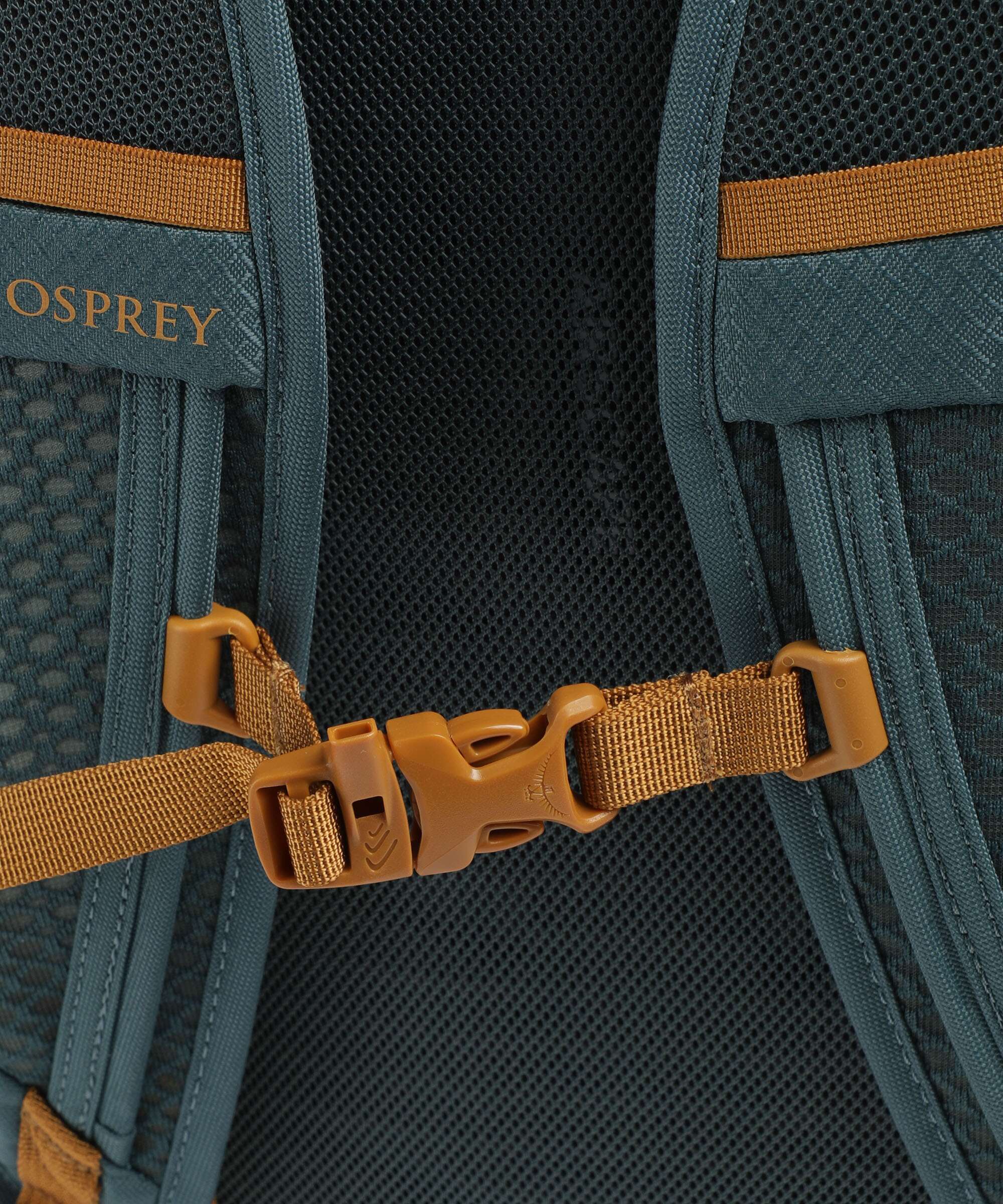 Osprey Daylite Plus Backpack torrent blue - Image 5