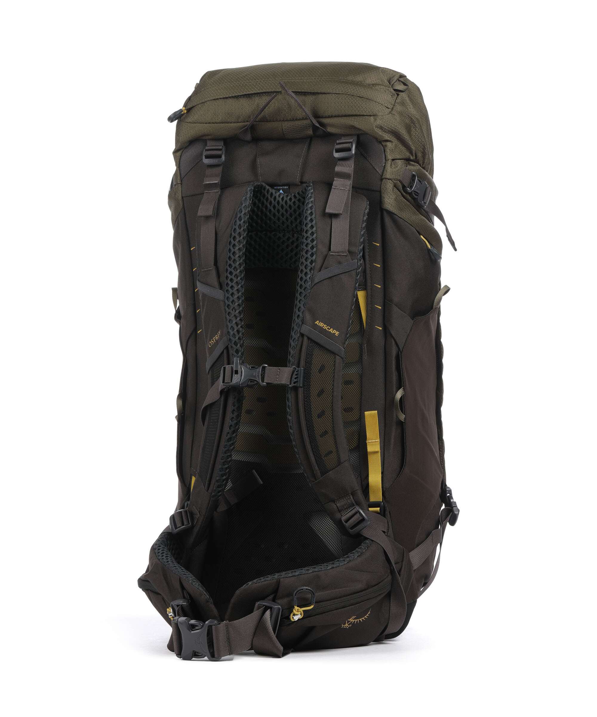 Osprey Kestrel 45 Hiking backpack moss green - Image 2