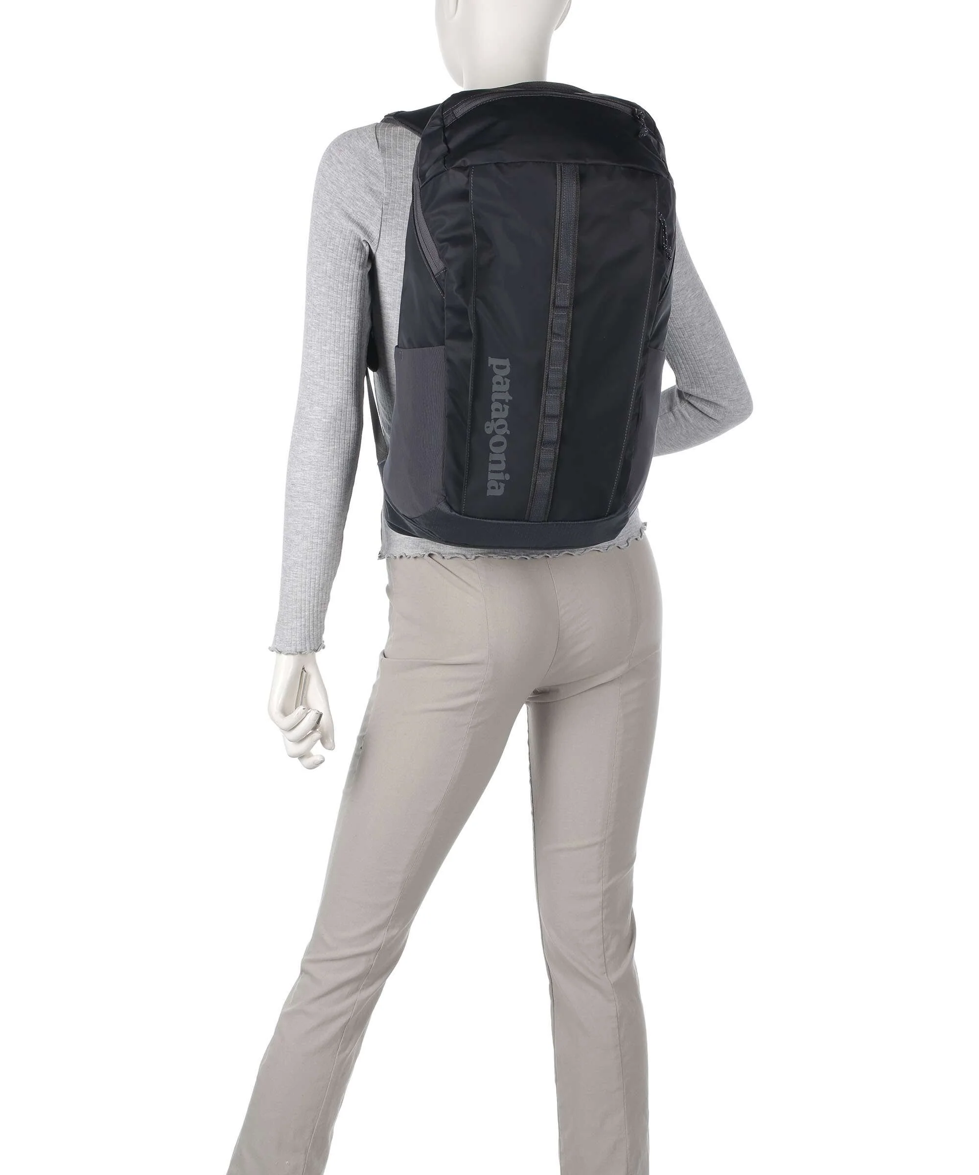 Patagonia Black Hole 25 Backpack birch white - Image 3